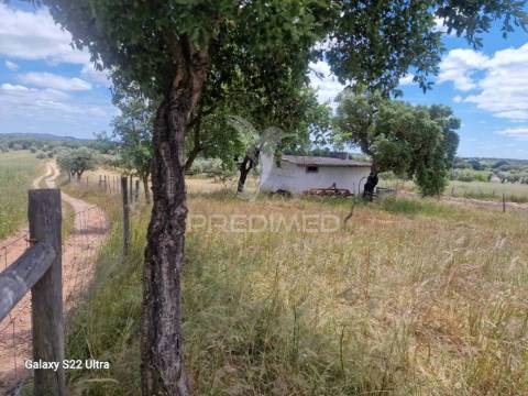 Terreno. rustico, no  torrão do alentejo