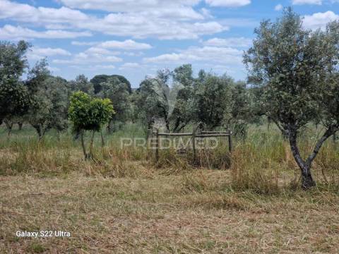Terreno. rustico, no  torrão do alentejo