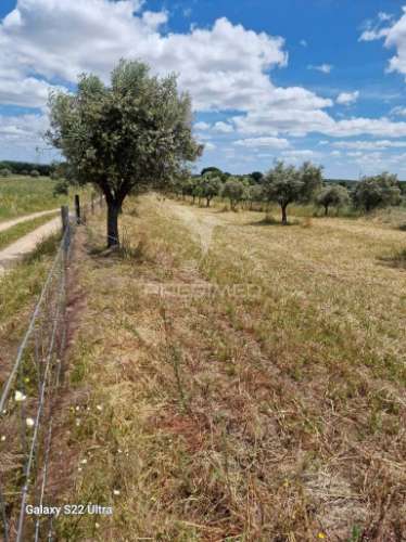 Terreno. rustico, no  torrão do alentejo