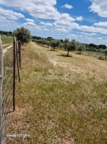Terreno. rustico, no  torrão do alentejo