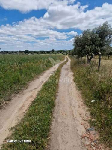 Terreno. rustico, no  torrão do alentejo
