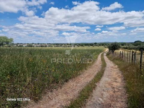 Terreno. rustico, no  torrão do alentejo