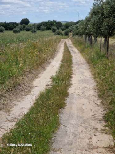 Terreno. rustico, no  torrão do alentejo
