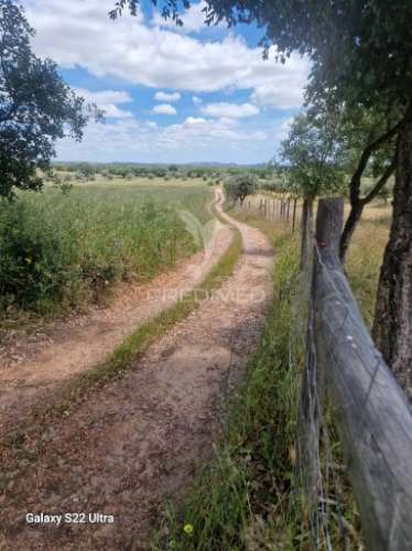 Terreno. rustico, no  torrão do alentejo