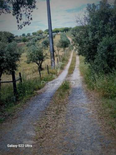 Terreno. rustico, no  torrão do alentejo