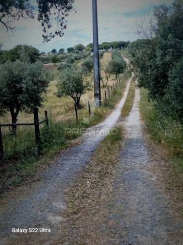 Terreno. rustico, no  torrão do alentejo