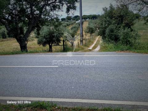 Terreno. rustico, no  torrão do alentejo