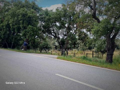 Terreno. rustico, no  torrão do alentejo