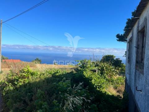 Moradia e dois palheiro ambos para recuperar com 1348m2 de terreno na ponta do pargo á beira da estrada