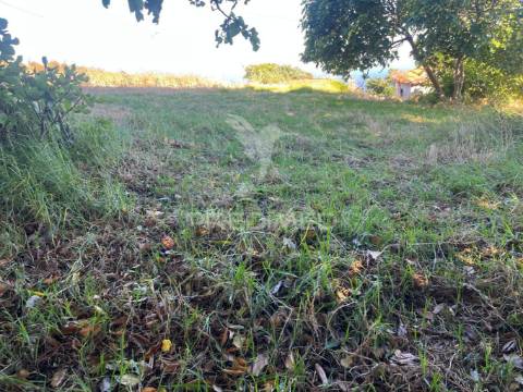 Moradia e dois palheiro ambos para recuperar com 1348m2 de terreno na ponta do pargo á beira da estrada