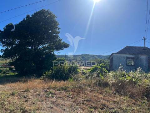 Moradia e dois palheiro ambos para recuperar com 1348m2 de terreno na ponta do pargo á beira da estrada