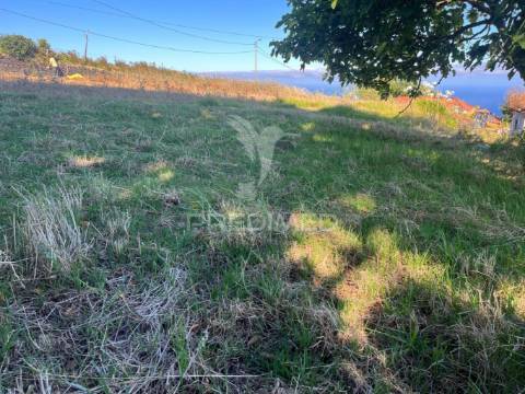 Moradia e dois palheiro ambos para recuperar com 1348m2 de terreno na ponta do pargo á beira da estrada