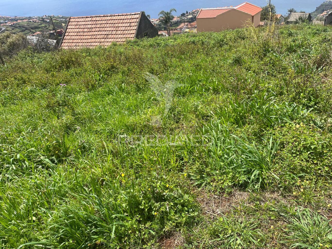 Vendo terreno e palheiro na calheta