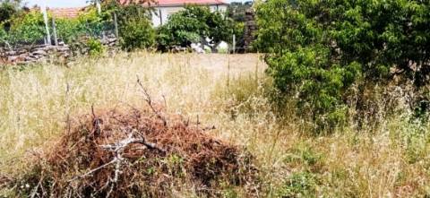 Casa em pedra para reconstrução em murça / vila real