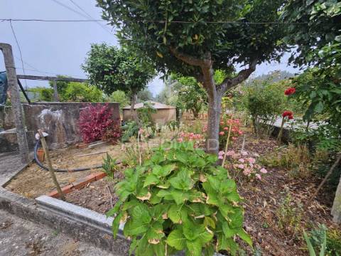 Novidade moradia t3 isolada