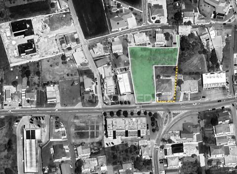 Terreno construtivo | oportunidade