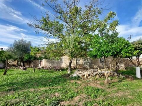 Moradia de campo para recuperar em areias, ferreira do zêzere