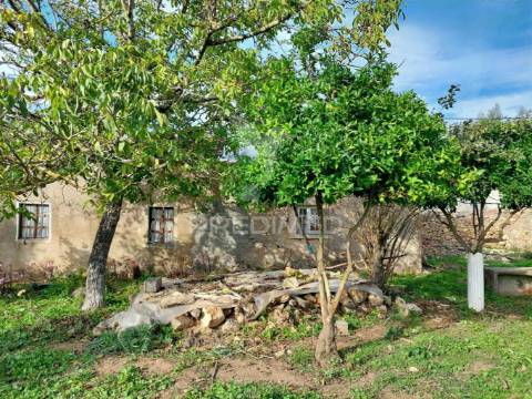 Moradia de campo para recuperar em areias, ferreira do zêzere