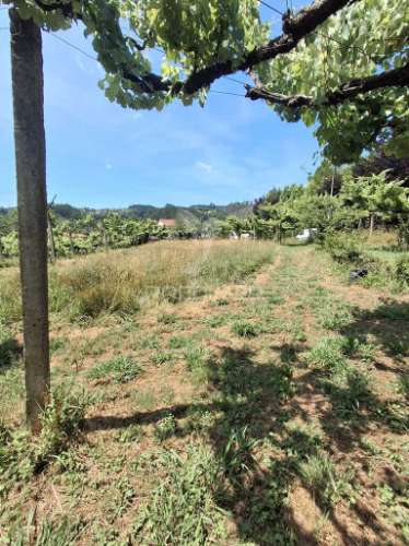 Terreno de construção em aboim, amarante