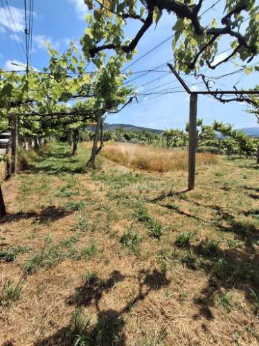 Terreno de construção em aboim, amarante