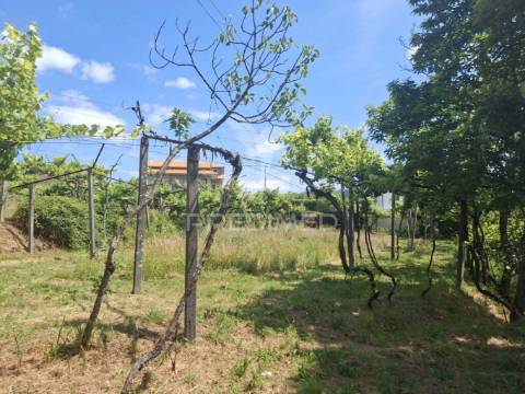 Terreno de construção em aboim, amarante