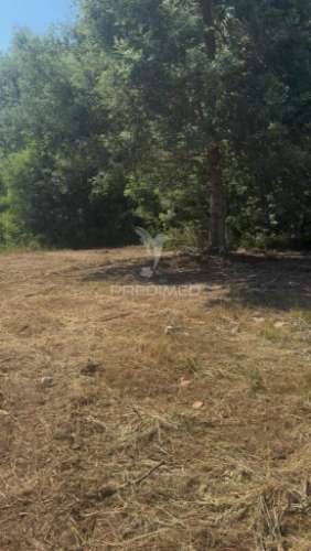 Lote de construção - alto de fridão