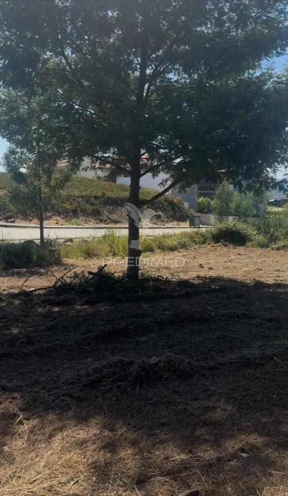 Lote de construção - alto de fridão