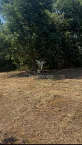 Lote de construção - alto de fridão