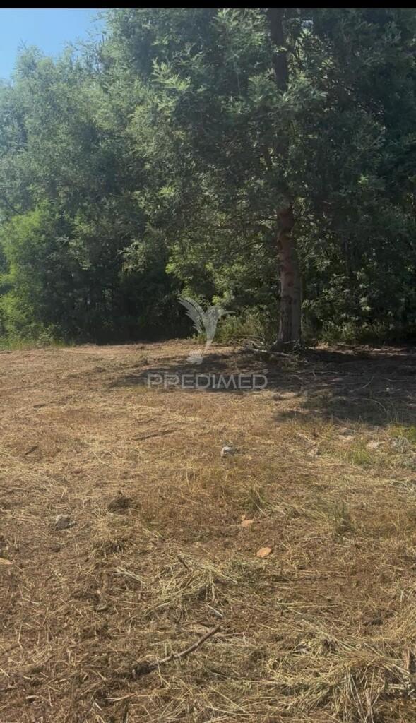 Lote de construção - alto de fridão