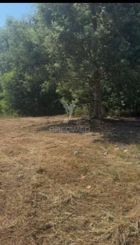 Lote de construção - alto de fridão