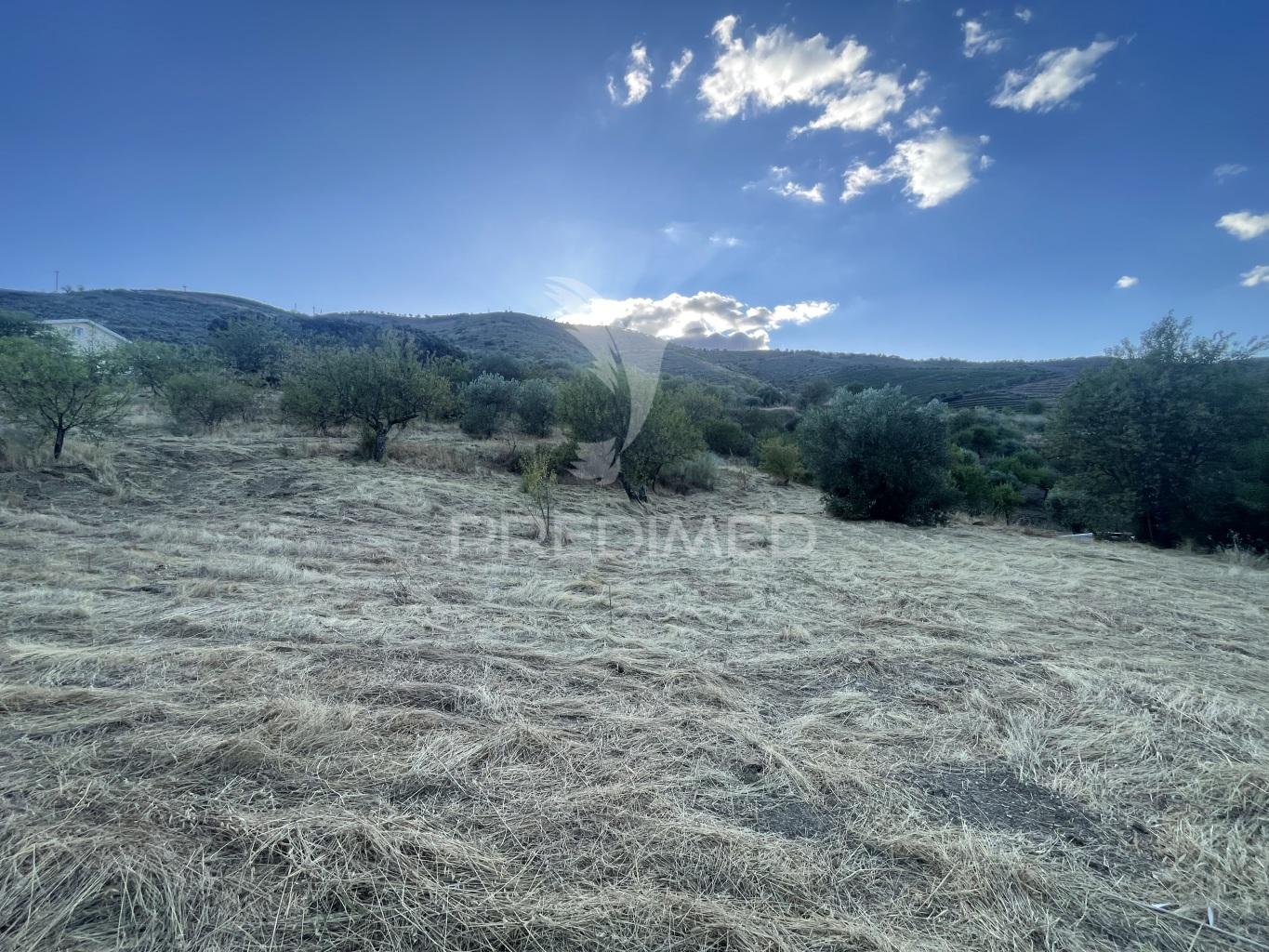 Lote de construção em murça – vila nova de foz côa (4.650 m²)