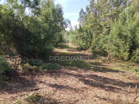 Terreno urbano em azurva