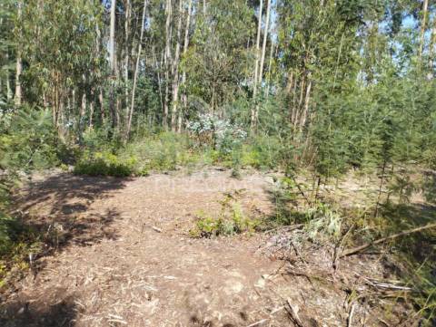 Terreno urbano em azurva