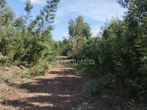 Terreno urbano em azurva