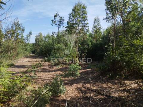 Terreno urbano em azurva