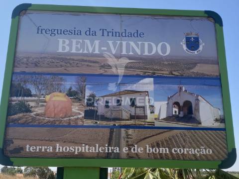 Moradia para recuperar na trindade, perto de beja