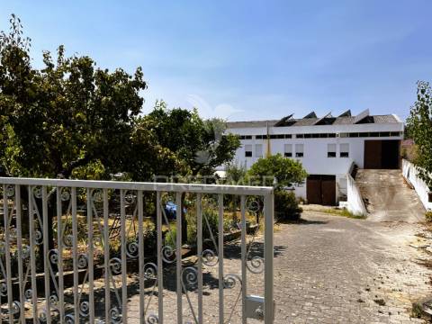 Armazém multifuncional (com terreno de 1375m2)