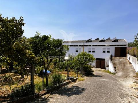 Armazém multifuncional (com terreno de 1375m2)