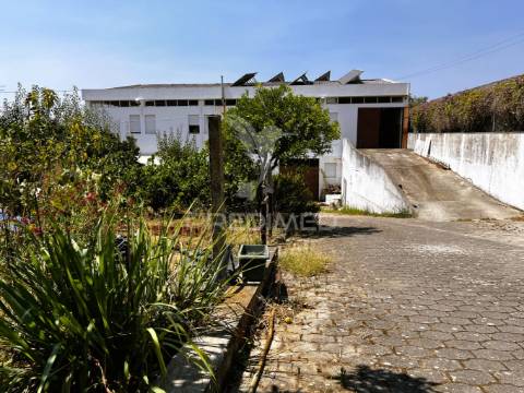 Armazém multifuncional (com terreno de 1375m2)