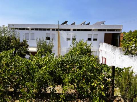 Armazém multifuncional (com terreno de 1375m2)