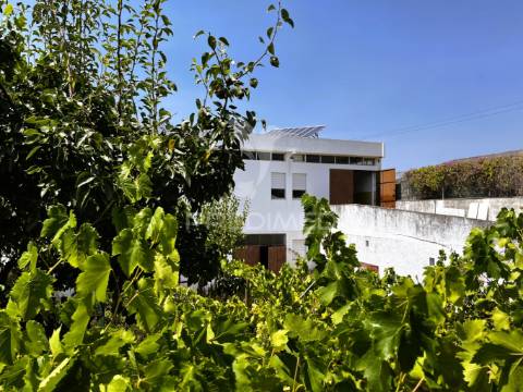 Armazém multifuncional (com terreno de 1375m2)