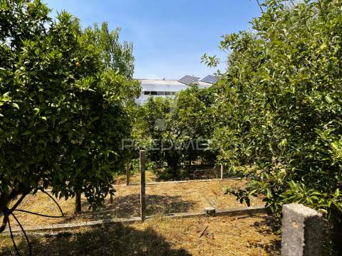 Armazém multifuncional (com terreno de 1375m2)