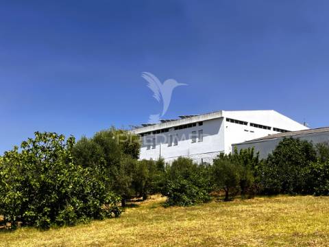 Armazém multifuncional (com terreno de 1375m2)