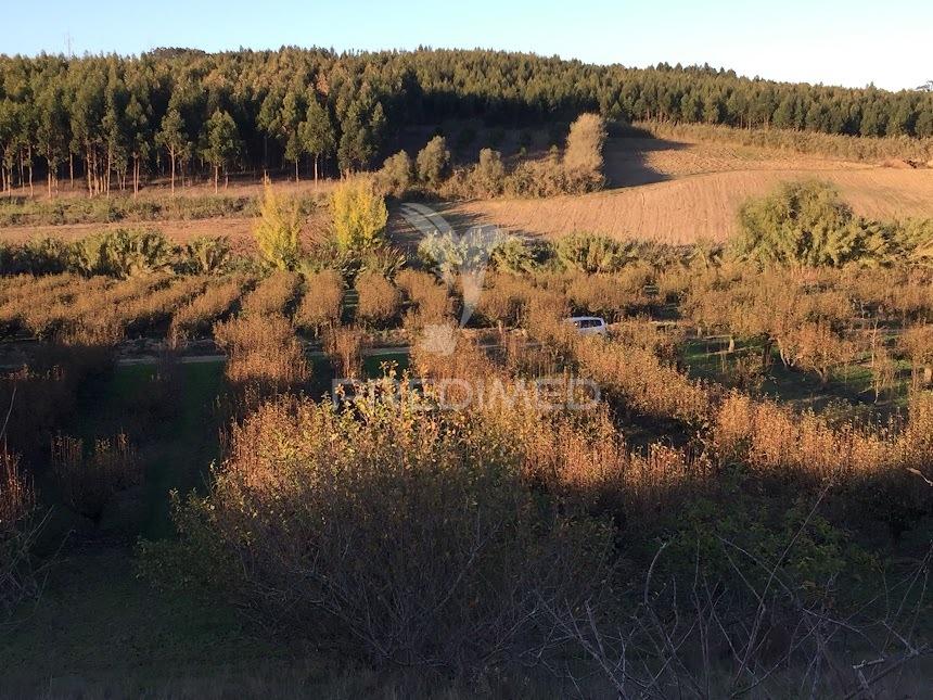 Terreno rustico