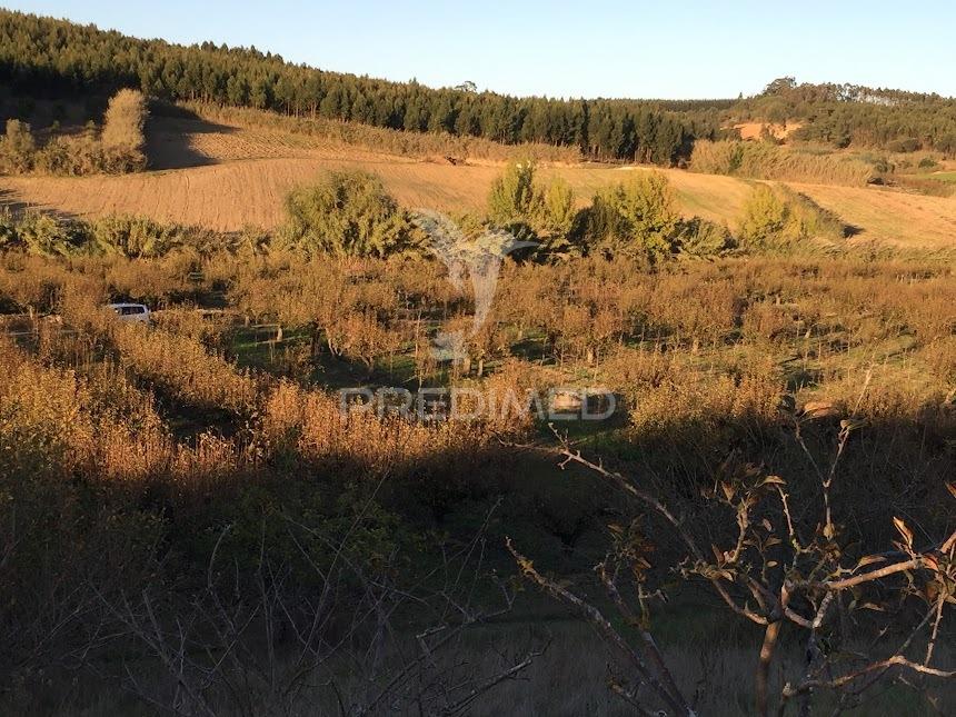 Terreno rustico
