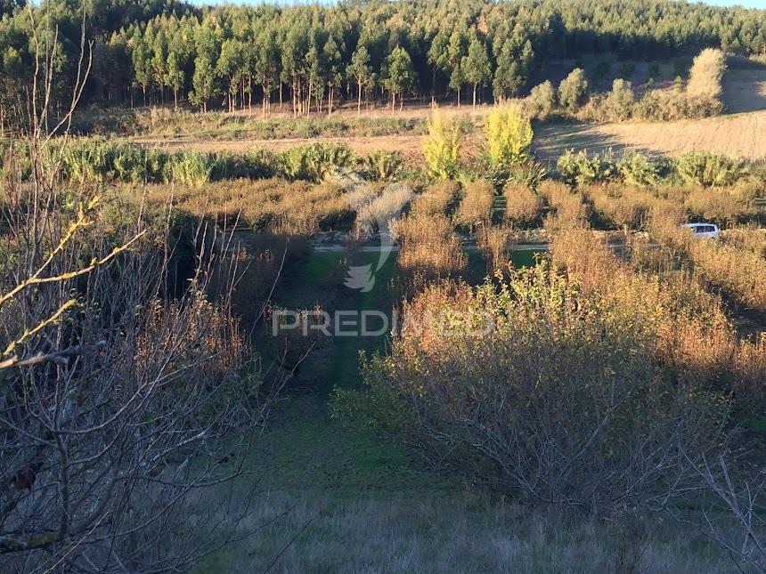 Terreno rustico