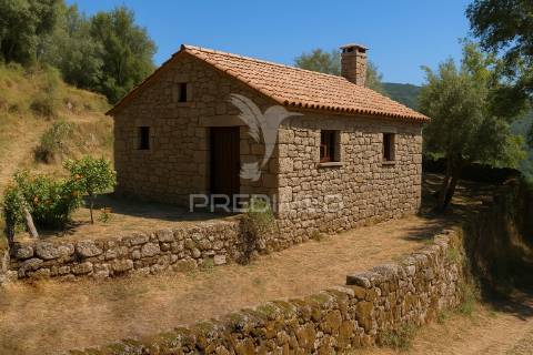 Terreno urbano- cibões & brufe