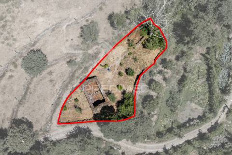 Terreno urbano- cibões & brufe