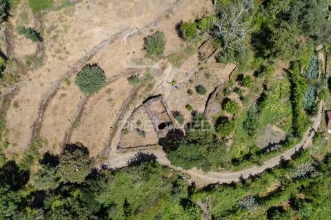 Terreno urbano- cibões & brufe