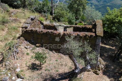 Terreno urbano- cibões & brufe